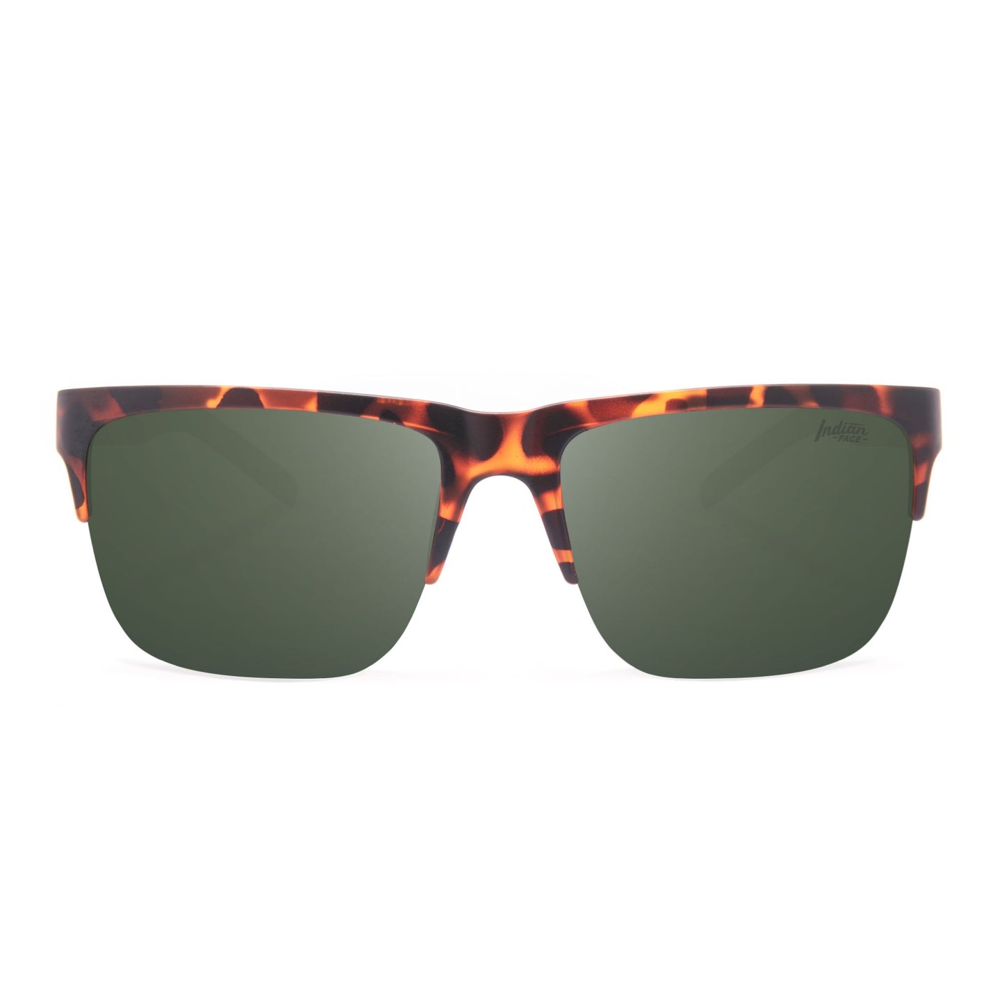 Frontier Tortoise / Green