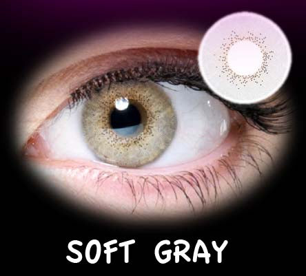 FASHION NAT. SOFT GRAY ANUAL R/8.60 2PK